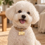Personalised Dog ID Tag