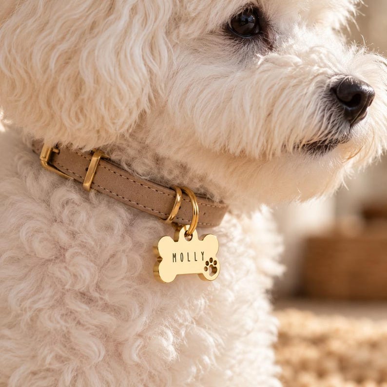 Personalised Dog ID Tag